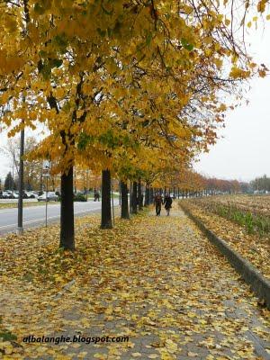 COLORI D'AUTUNNO IN CITTA'