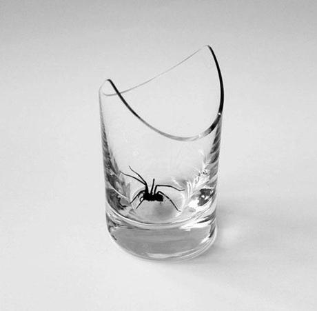 Cornered di James Laurie – O ci bevi, o ci catturi i ragni.