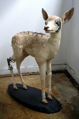 TAXIDERMY + STEAMPUNK  ARTE