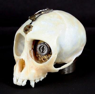 TAXIDERMY + STEAMPUNK ARTE TAXIDERMY + STEAMPUNK ARTE