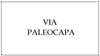 Via Paleocapa 3