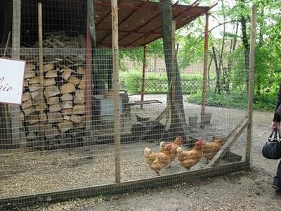 Castello di Pralormo: Messer Tulipano, seconda ed ultima parte Castello di Pralormo: Messer Tulipano, seconda ed ultima parte