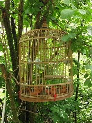 Castello di Pralormo: Messer Tulipano, seconda ed ultima parte Castello di Pralormo: Messer Tulipano, seconda ed ultima parte