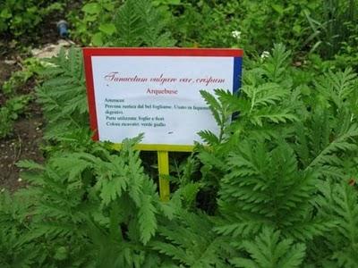 Castello di Pralormo: Messer Tulipano, seconda ed ultima parte Castello di Pralormo: Messer Tulipano, seconda ed ultima parte