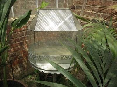 Castello di Pralormo: Messer Tulipano, seconda ed ultima parte Castello di Pralormo: Messer Tulipano, seconda ed ultima parte