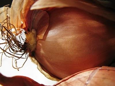 Ricetta Notte folle a Manhattan......Primo piatto: Croxetti filanti al sugo di salsiccia Ricetta Notte folle a Manhattan......Primo piatto: Croxetti filanti al sugo di salsiccia