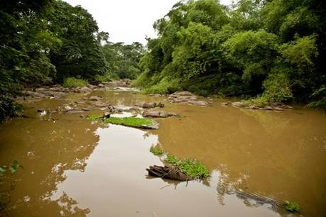 VIAGGIARE | Olumo Rock (Abeokuta) - Osun Sacred Forest (Oshogbo) VIAGGIARE | Olumo Rock (Abeokuta) - Osun Sacred Forest (Oshogbo)