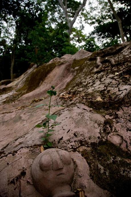 VIAGGIARE | Olumo Rock (Abeokuta) - Osun Sacred Forest (Oshogbo) VIAGGIARE | Olumo Rock (Abeokuta) - Osun Sacred Forest (Oshogbo)