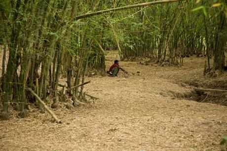 VIAGGIARE | Olumo Rock (Abeokuta) - Osun Sacred Forest (Oshogbo) VIAGGIARE | Olumo Rock (Abeokuta) - Osun Sacred Forest (Oshogbo)