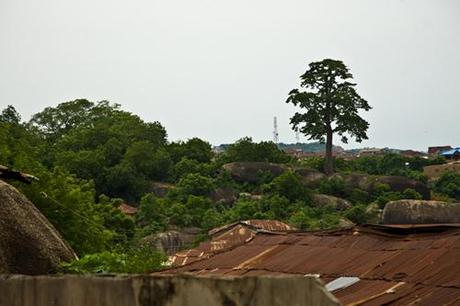 VIAGGIARE | Olumo Rock (Abeokuta) - Osun Sacred Forest (Oshogbo) VIAGGIARE | Olumo Rock (Abeokuta) - Osun Sacred Forest (Oshogbo)