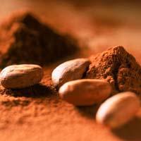 Sequenziato il genoma del cacao: anche la Mars tra i finanziatori