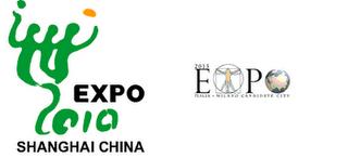Milano 2015: sarà un modesto expo (stampa Cinese)