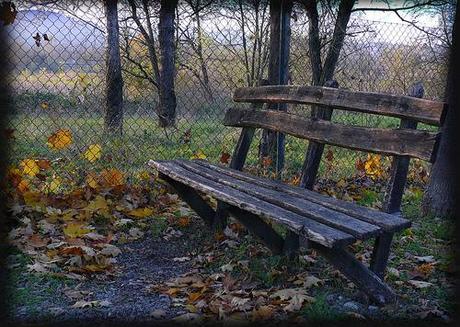 Dagli occhi di un bambino Dagli occhi di un bambino