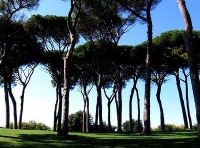 Una domenica a Roma