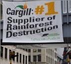 Olio di palma: ora tocca a Cargill