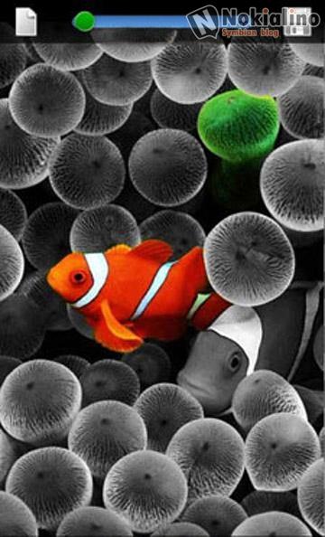 symcolorsplash SymColorSplash