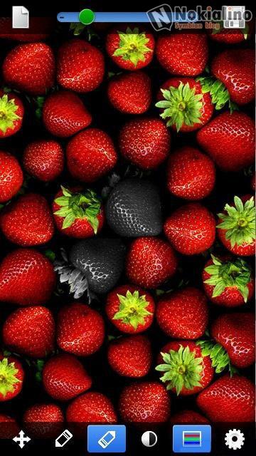 12819552021 SymColorSplash