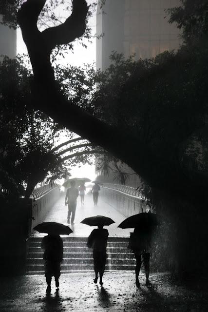 Hong Kong in the Rain by Christophe Jacrot