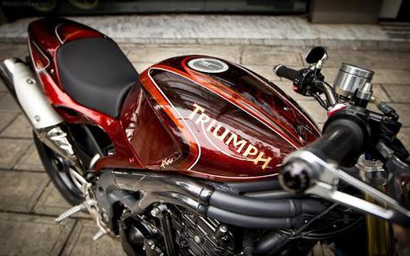 Metal Flake Brown Metal Flake Brown