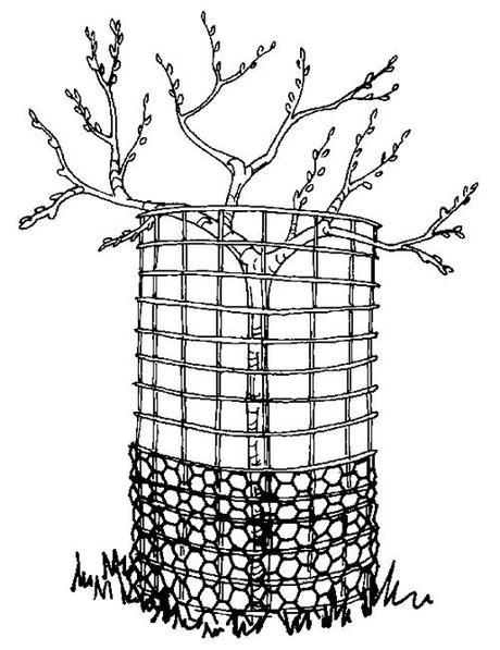 SULLE TANE DELLE NUTRIE