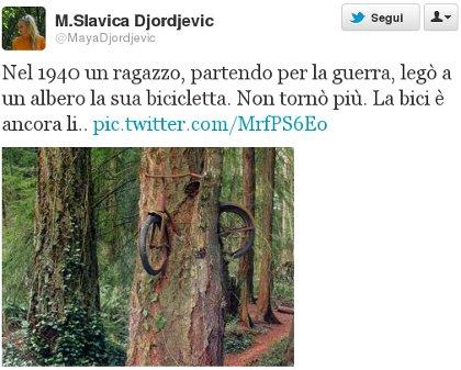 Nel 1940 un ragazzo, partendo per la guerra, lego' a un albero la sua bicicletta. Non torno' piu'. La bici e ancora li' Nel 1940 un ragazzo, partendo per la guerra, lego' a un albero la sua bicicletta. Non torno' piu'. La bici e ancora li'