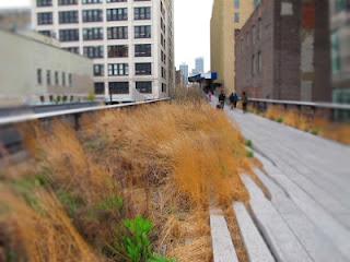 DanaGardenGuide New York _High Line