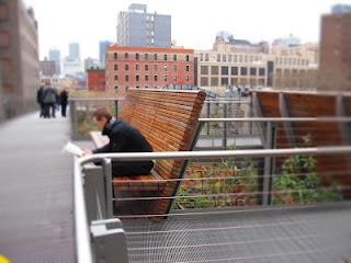 DanaGardenGuide New York _High Line