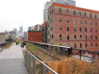 DanaGardenGuide New York _High Line