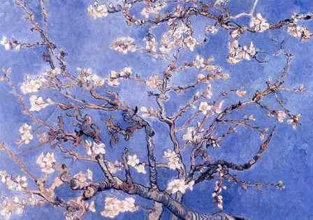 Buona Pasqua Buona Pasqua