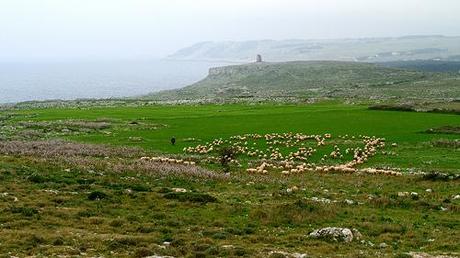 Pasqua Salentina: Auguri Earth spirit