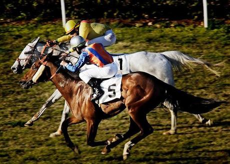 Imparare a lasciar andare di Krishnananda Imparare a lasciar andare di Krishnananda