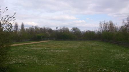 Confronto Foto e Video Sony Xperia S VS HTC One X 13 xs 450x253 Confronto Foto e Video Sony Xperia S VS HTC One X