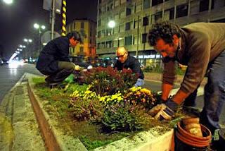 Guerrilla Gardening: gli eco-rivoltosi!