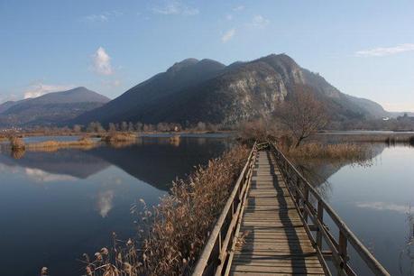 Lombardia - Ponte nelle torbiere del lago di Iseo
