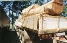 Il legno illegale peruviano finisce negli Stati Uniti
