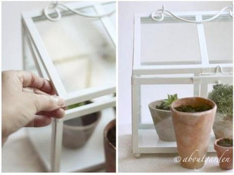 piccola serra domestica little conservatory Shabby Chic… on Friday