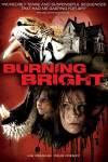 Burning bright (di Carlos Brooks, 2010)
