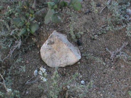 Foto X Scie chimiche: la prova definitiva. “Chiamatemi Popper!”