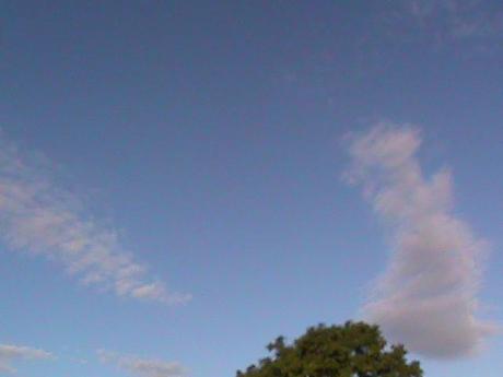 Foto (16) Scie chimiche: la prova definitiva. “Chiamatemi Popper!”