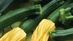 Gran flan di zucchine e fiori di zucchina Gran flan di zucchine e fiori di zucchina