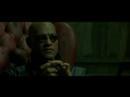 The Most Beautiful Scenes: Matrix