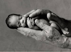 neonato Neonata del San Giovanni di Dio Falcon 50 alla volta di Pisa