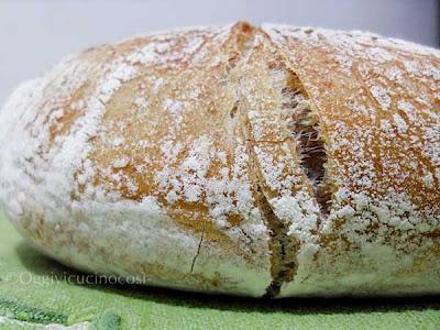 No-Knead Bread-(il pane senza impasto) mia versione semi-integrale.