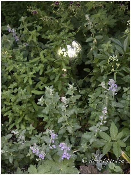 gazing ball Gazing Globe Shabby Chic… on Friday