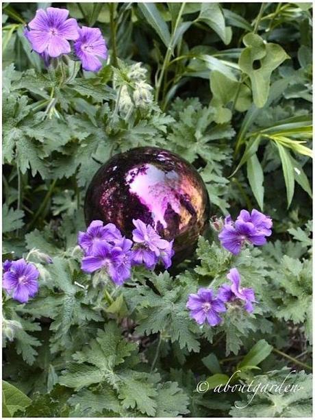 gazing mauve Gazing Globe Shabby Chic… on Friday