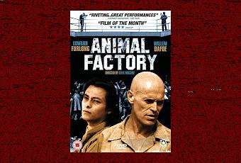 animal factory thesis