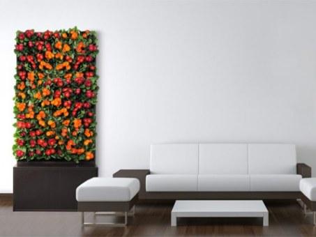 Feng Shui: Pianta con fiori elemento Fuoco 