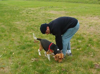 Oggi è il compleanno di Brenda: un cane sotto estorsione!