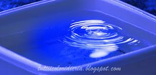 Photo Hunt 2012 (prima parte) Photo Hunt 2012 (prima parte)