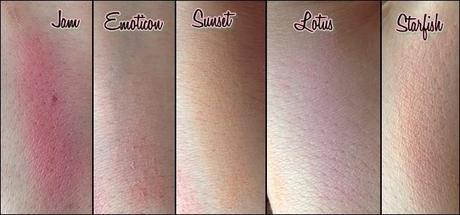 Swatch e Review Palette I Blushissimi by NEVE COSMETICS